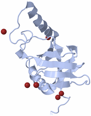 Image Biological Unit 1