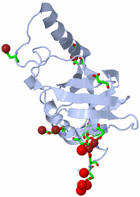 Image Biol. Unit 1 - sites