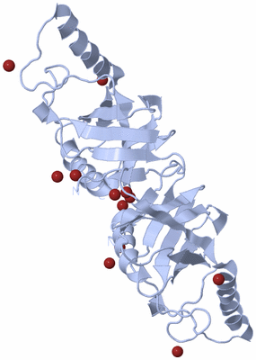 Image Biological Unit 2