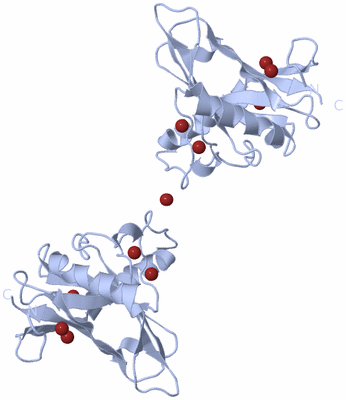 Image Biological Unit 3