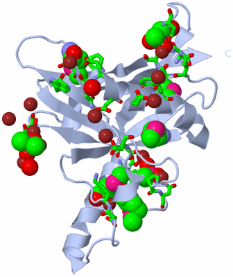 Image Biol. Unit 1 - sites