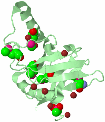 Image Biological Unit 2