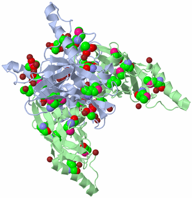 Image Biological Unit 3