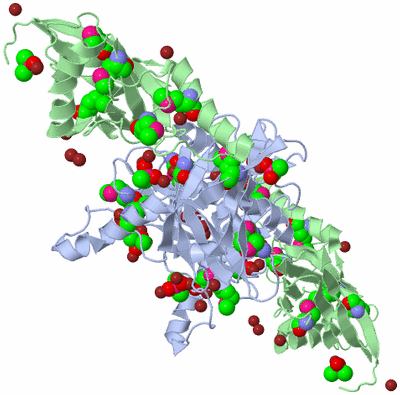 Image Biological Unit 4