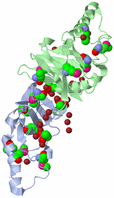 Image Biological Unit 5