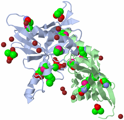 Image Biological Unit 6