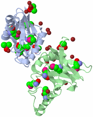 Image Biological Unit 7