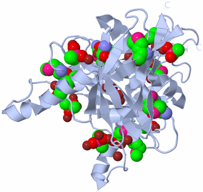 Image Biological Unit 8