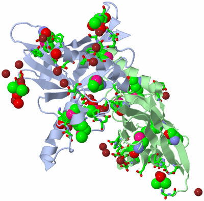 Image Asym. Unit - sites