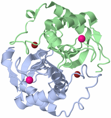 Image Biological Unit 1