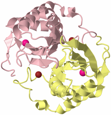 Image Biological Unit 2