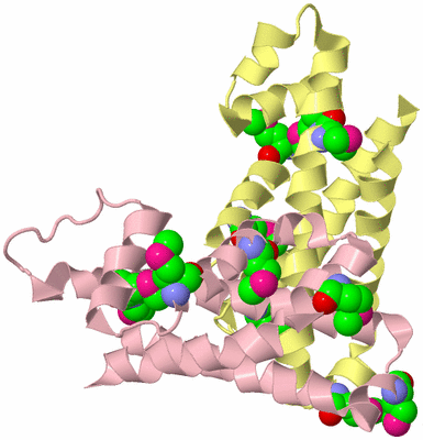 Image Biological Unit 2