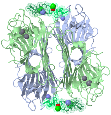 Image Biological Unit 1