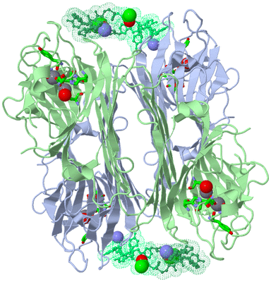 Image Biol. Unit 1 - sites