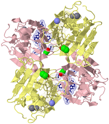 Image Biological Unit 2