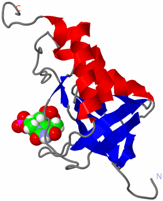 Image NMR Structure - model 1