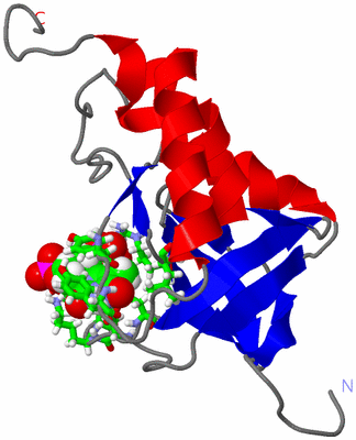 Image NMR Structure - model 1, sites