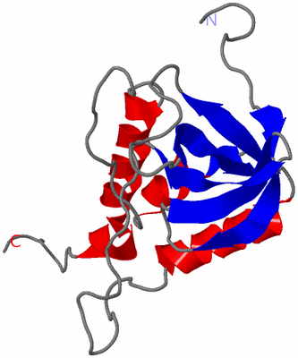 Image NMR Structure - model 1