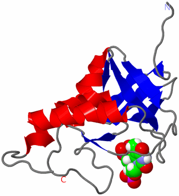 Image NMR Structure - model 1