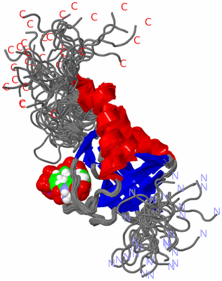 Image NMR Structure - all models