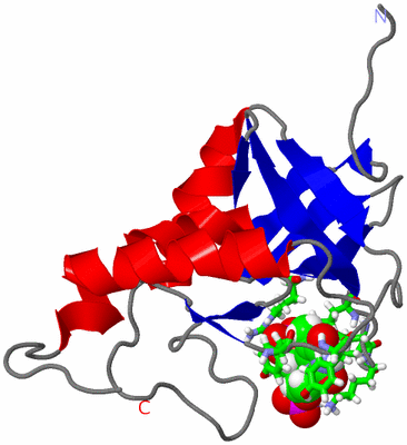 Image NMR Structure - model 1, sites