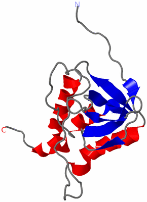 Image NMR Structure - model 1