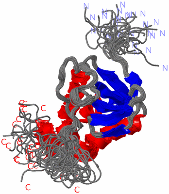 Image NMR Structure - all models