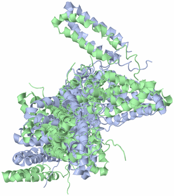 Image NMR Structure - all models