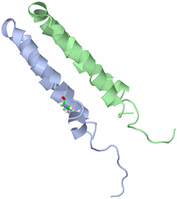 Image NMR Structure - model 1, sites