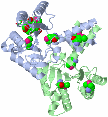 Image Asym./Biol. Unit - sites