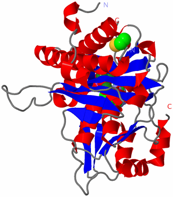 Image Asym./Biol. Unit