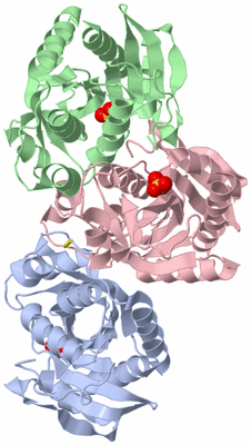 Image Asymmetric Unit