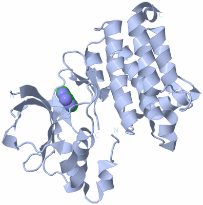 Image Biological Unit 1