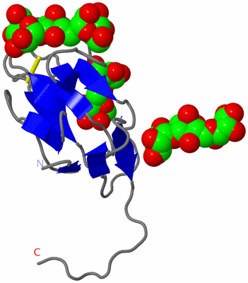 Image Asymmetric Unit