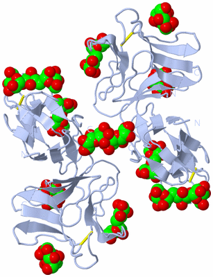 Image Biological Unit 1