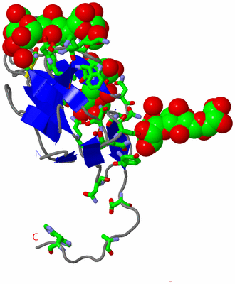 Image Asym. Unit - sites