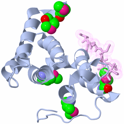 Image Biological Unit 1