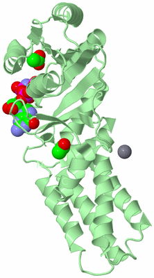 Image Biological Unit 1