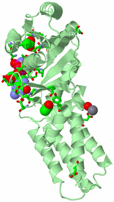 Image Biol. Unit 1 - sites