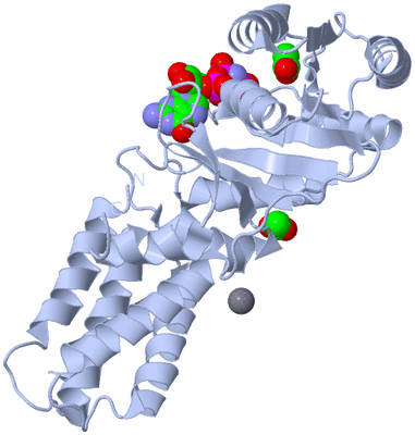 Image Biological Unit 2