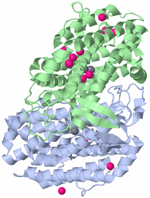 Image Asym./Biol. Unit