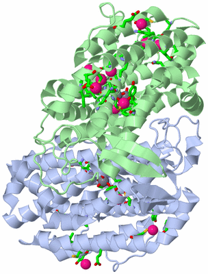 Image Asym./Biol. Unit - sites