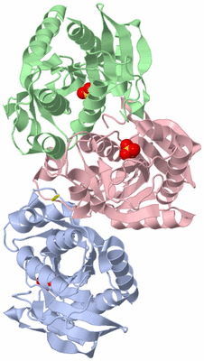 Image Asymmetric Unit