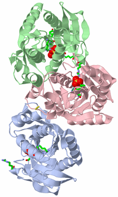 Image Asym. Unit - sites