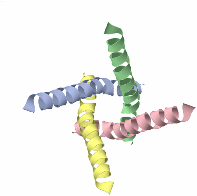 Image NMR Structure - model 1