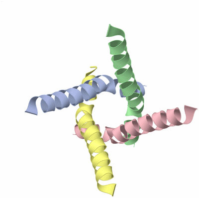 Image NMR Structure - model 1