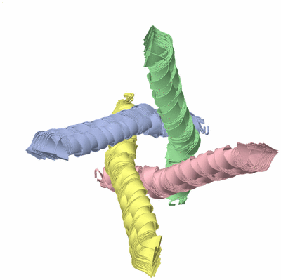 Image NMR Structure - all models