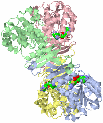 Image Asym./Biol. Unit