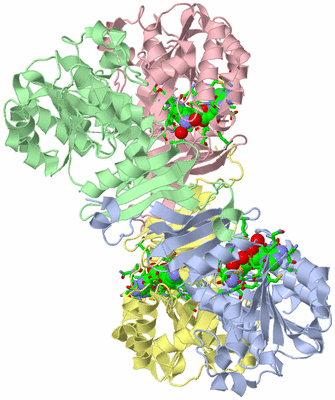 Image Asym./Biol. Unit - sites