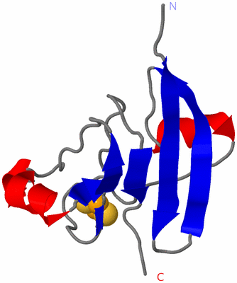 Image NMR Structure - model 1